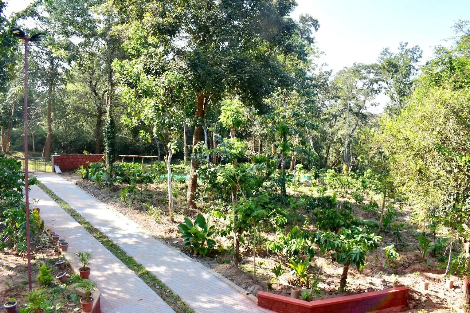 Forest Brew Resort Wayanad Chegāt Villa